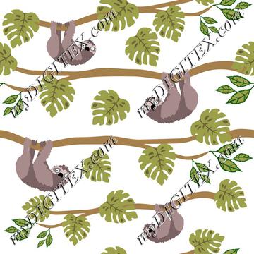 Sloths and Tropical Leaves, Cute Sloth, Tropical Animals