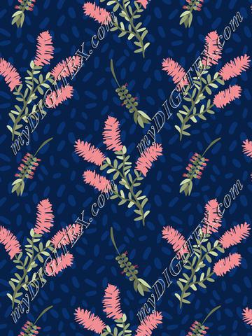 Callistemon
