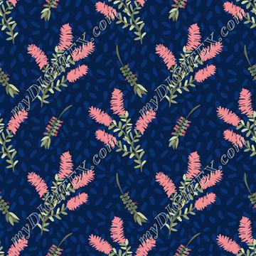 Callistemon