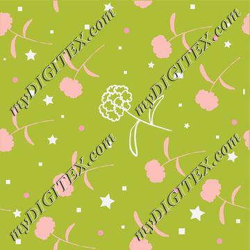 Baby Girl Floral C