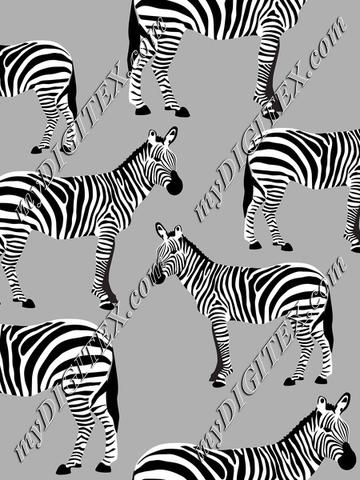 Zebras on Grey