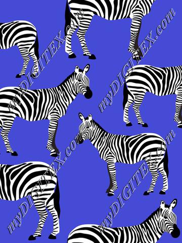 Zebras on blue