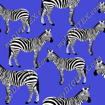 Zebras on blue