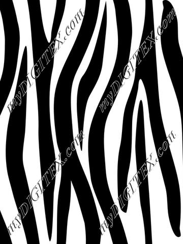 Zebra Skin Black and White Zebra Stripes