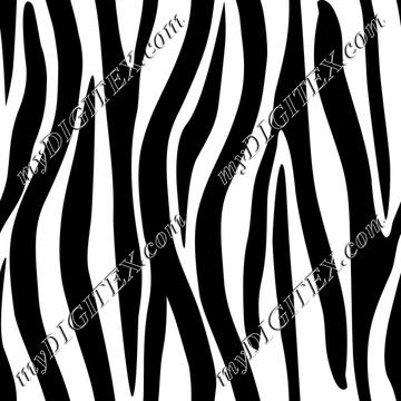 Zebra Skin Black and White Zebra Stripes