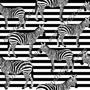 Zebra on Stripes