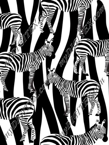 Zebra on Zebra Skin