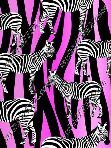 zebraonstripepink