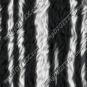 Zebra Fur