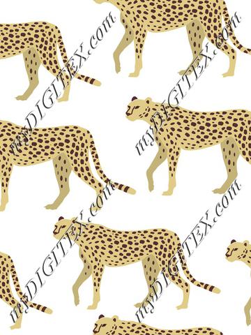 Cheetah, Leopard, Panther on White