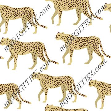 Cheetah, Leopard, Panther on White