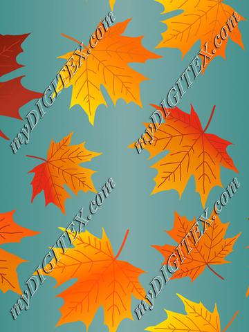 Autumn leaves,Fall Maple Leaves