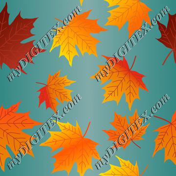 Autumn leaves,Fall Maple Leaves