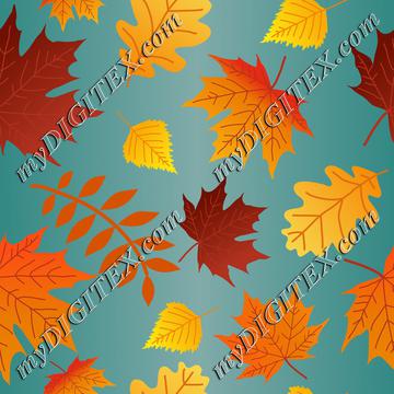 Autumn Leaves, colorful Fall Leaves