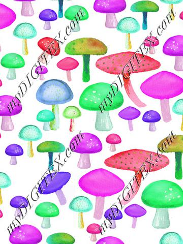 colorful mushrooms 2