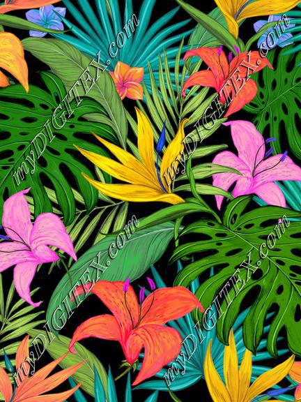 Tropical leaves