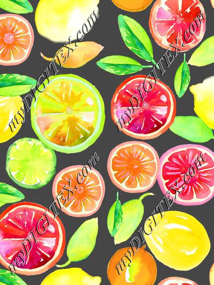 Citrus in Watercolor Gray BG