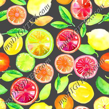 Citrus in Watercolor Gray BG