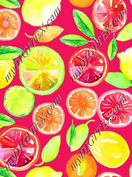 Citrus in Watercolor Hot Pink BG