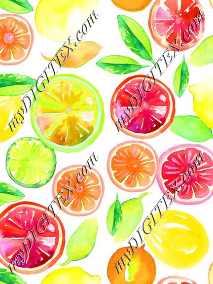 Citrus in Watercolor White BG