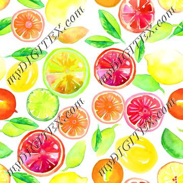 Citrus in Watercolor White BG