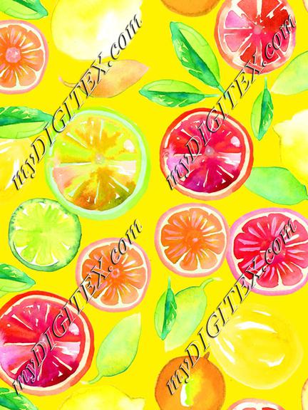 Citrus in Watercolor Yellow BG