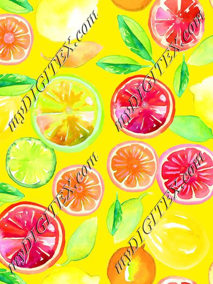 Citrus in Watercolor Yellow BG