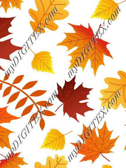 Autumn Fall colorful leaves, Maple leaves