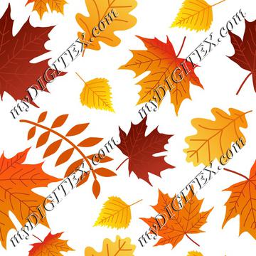 Autumn Fall colorful leaves, Maple leaves