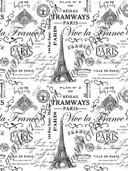 Vintage Paris Pattern