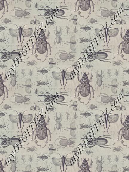 Vintage Beetle Small