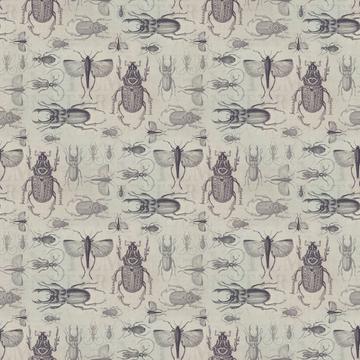 Vintage Beetle Small