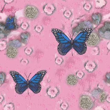 Butterflies Painted pink blue