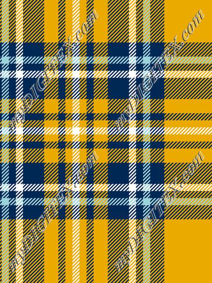 Mountaineer Tartan 2a