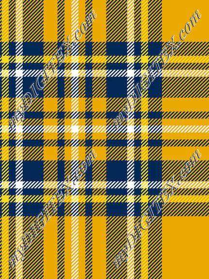 Mountaineer Tartan 2b