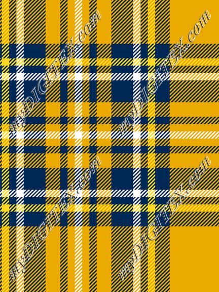 Mountaineer Tartan 2b