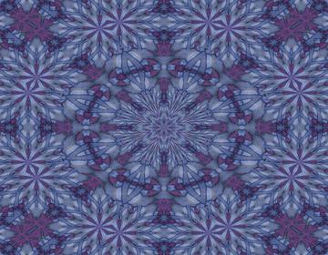 purplekallongsdw