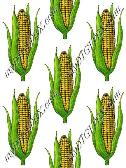 Corn