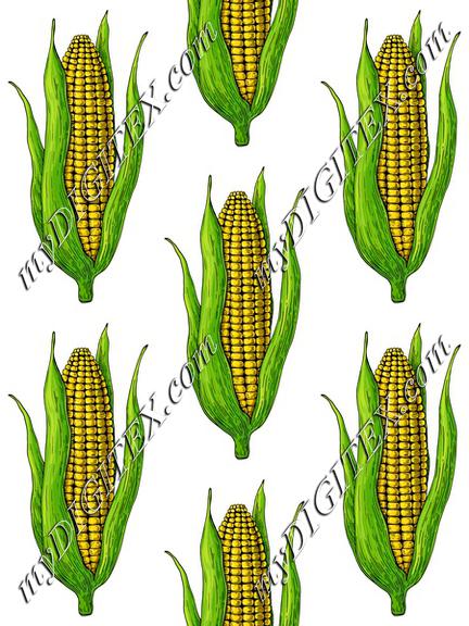 Corn