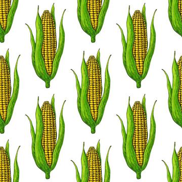 Corn