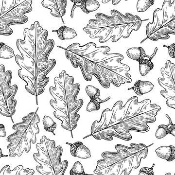 Acorns