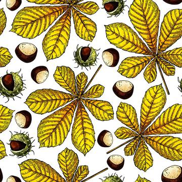 Chestnut