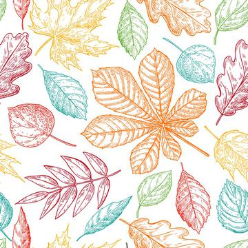 Fall leaves