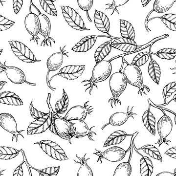 Rosehip