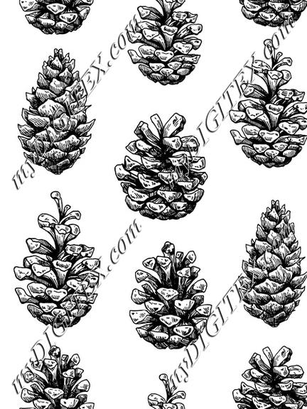 Pine cone