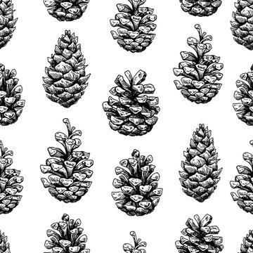 Pine cone