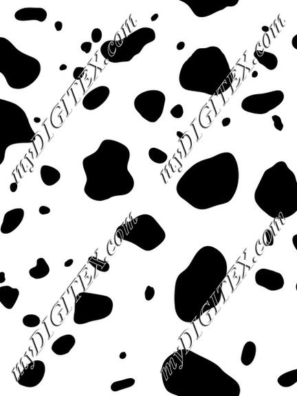 Dalmation