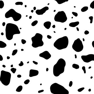 Dalmation