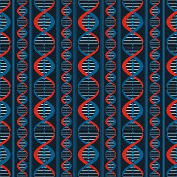 DNA Stripe