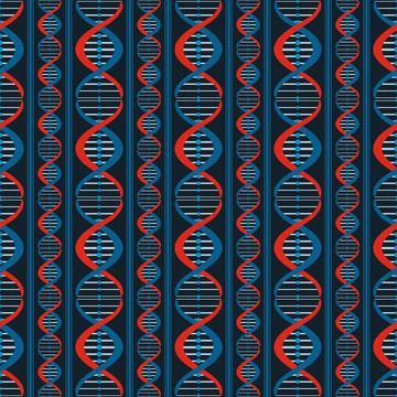 DNA Stripe